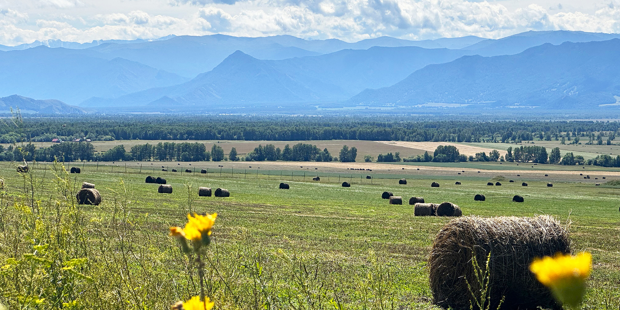 База отдыха в Горном Алтае 8